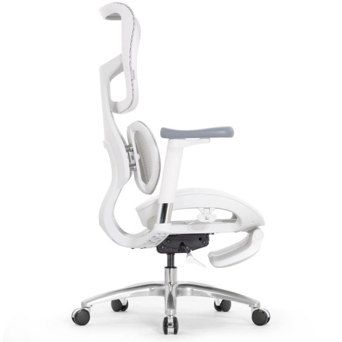 Ортопедическое кресло Falto Scala Office серое Ортопедическое кресло Falto Scala Office серое