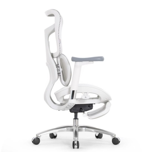 Ортопедическое кресло Falto Scala Office серое Ортопедическое кресло Falto Scala Office серое