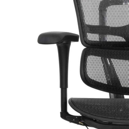 Ортопедическое кресло Falto Ergohuman 2 Project Ортопедическое кресло Falto Ergohuman 2 Project